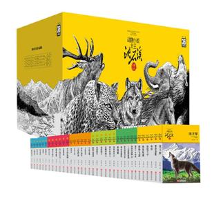 当当网正版童书 沈石溪动物小说品藏书系全集升级版全套36册 狼王梦斑羚飞渡第七条猎狗最后一头战象6-12岁儿童小学生课外阅读书籍
