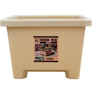 爱丽思加厚树脂花盆阳台方形爱丽丝球根朱顶红满天星铃兰花种植盆