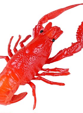 螃蟹展示假小龙虾食物海鲜菜品