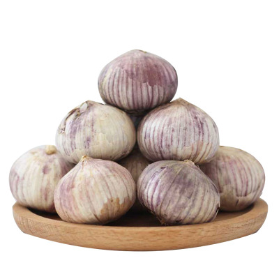 紫皮干蒜独头蒜云南新鲜大蒜头
