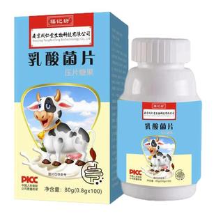 南京同仁堂福记坊乳酸菌片维生素益生菌压片糖果咀嚼片100片/装