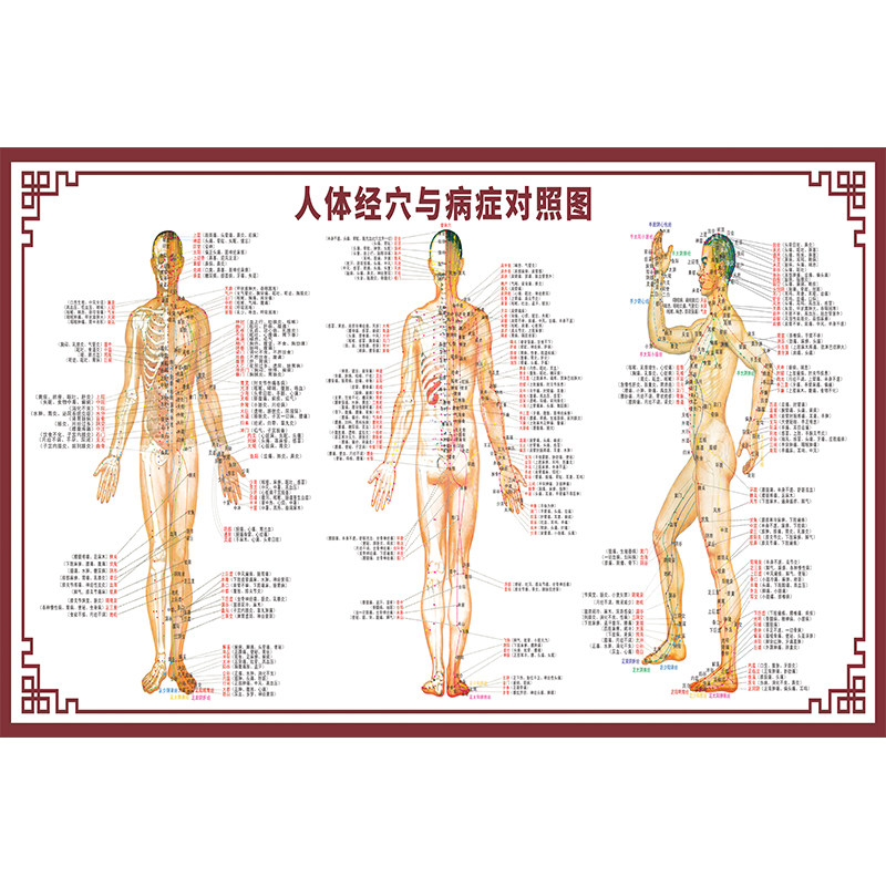 中医艾灸针灸人体穴位图人体经络