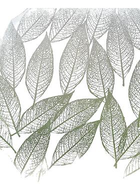 环保无胶玻璃贴膜抗紫外防霉抑菌