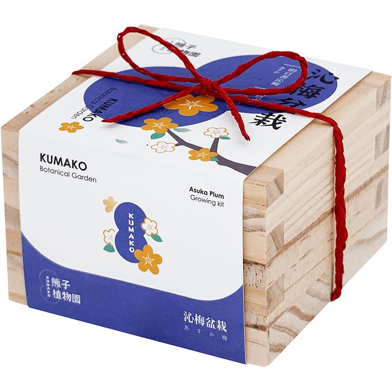 日式木盒自种组合罐头盆栽桌面办公室摆设梅花文艺礼物多肉有趣潮