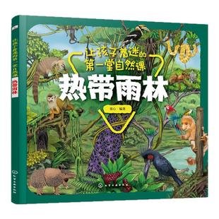 让孩子着迷的第一堂自然课 热带雨林 3-6岁儿童科普绘本儿童绘本  森林 昆虫 动植物 鸟类世界儿童小学生课外阅读书籍自然百科全书
