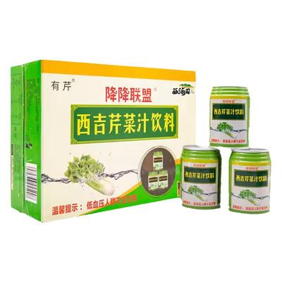 西海固芹菜汁鲜榨蔬菜汁250ml*12