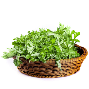 艾草新鲜食用清明草艾蒿当季蔬菜生艾草叶艾糍粑青团现摘嫩艾叶