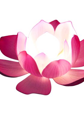 莲花灯舞台表演出道具可发光花灯