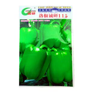 辣椒种籽诚研115号甜椒1000粒方椒荷兰菜椒柿子辣椒种子大果抗病