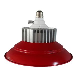 12-85V调色水果灯LED变色生鲜灯低压地摊流动摊夜市电瓶专用灯