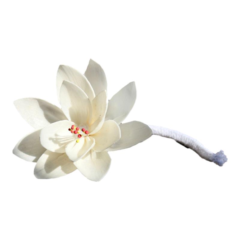 通草干花睡莲芍药蔷薇无火香薰精油家居香氛挥发棒香熏配件棉绳花