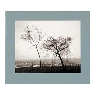 预售 罗伯特亚当斯：洛杉矶之春 Robert Adams: Los Angeles Spring英文进口原版图书 华源时空 Steidl