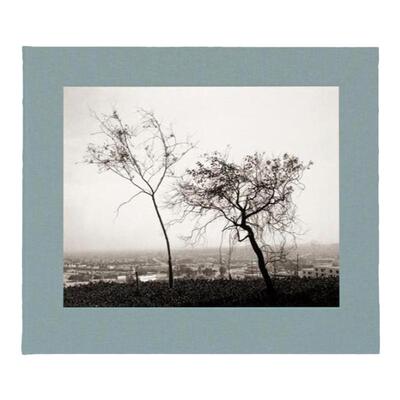 预售 罗伯特亚当斯：洛杉矶之春 Robert Adams: Los Angeles Spring英文进口原版图书 华源时空 Steidl