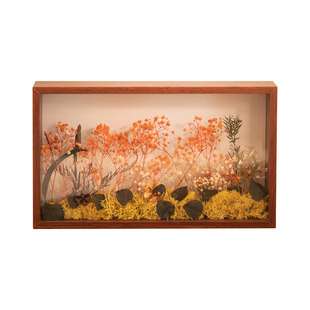 干花标本相框diy手工永生花玫瑰保存画框立体中空双面展示盒摆台