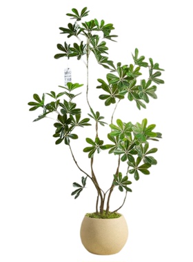 仿真鸭脚木客厅高端轻奢绿植摆件