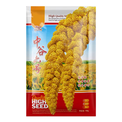 小米香糯高产种子种籽