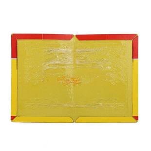 老鼠贴强力粘鼠板胶黏大老鼠加大加厚厨房家用捕鼠器专抓大老鼠