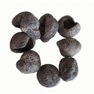 深海黑球参乌元球参干货 越南淡干进口足干厚肉球参海参干货500克