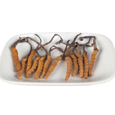 西藏那曲饱满4根/g包邮冬虫夏草