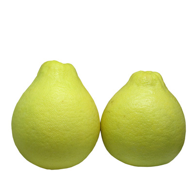 年货纯甜老树沙田柚融水糯米柚