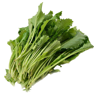 蟋蟀雪菜雪里蕻种子雪里红泡菜四季蔬菜春季秋季盆栽蔬菜种籽秋冬