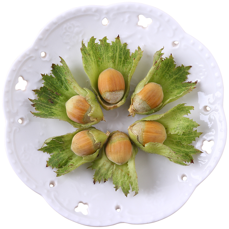 2025年新鲜大榛子东北带皮水仁水瓤生桓仁带绿皮新货榛子带皮500g