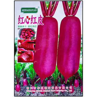 红心红皮长萝卜种子孑籽别名莱菔可生吃鲜食秋冬蔬菜庭院盆可生吃