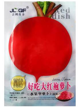 好吃大红袍萝卜种子红皮白心