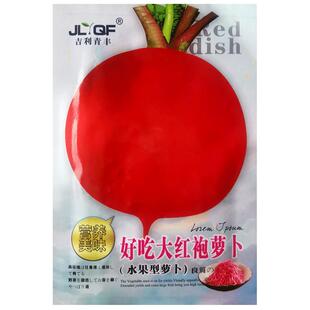 好吃大红袍萝卜种子红皮白心水果型圆萝卜种籽春夏秋农家蔬菜种孑