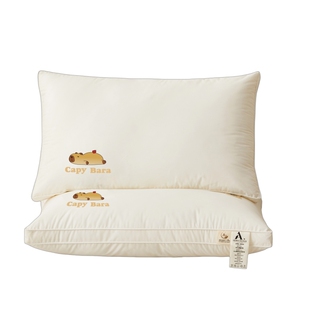 A类枕头护颈椎助睡眠成人专用单人一只装学生宿舍枕芯家用一对装