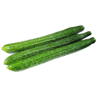 寿光巨丰八号新星黄瓜种子高产早熟青瓜春季夏秋季播蔬菜种籽孑子