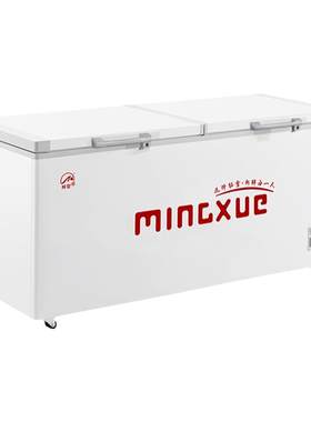 铭雪小型商用冰柜特价