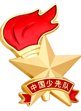 2024年大磁铁别针式蝴蝶扣队徽
