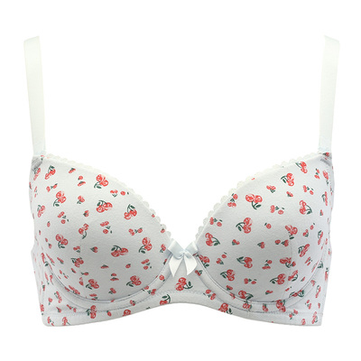 古今3/4水果印花氨棉少女棉面料