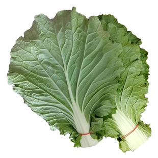 辽宁大东北打包白菜叶子现摘蔬菜包饭菜叶新鲜蔬菜青菜白菜大包邮