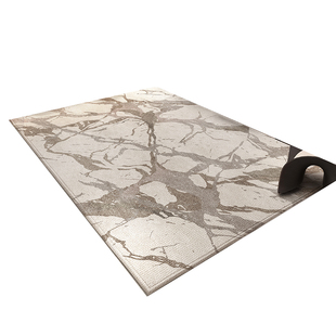 轻奢高级感入户门垫室内门口脚垫子可定制耐脏除尘地毯玄关口地垫