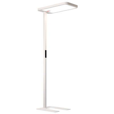 第二代红光增益儿童护眼大路灯