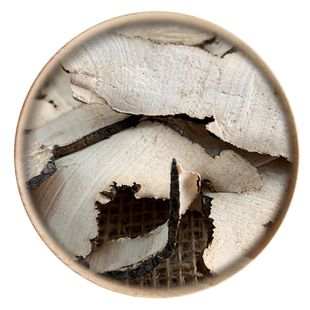 精选 中药材  猪苓 猪令 猪屎苓50g可打粉 满包邮