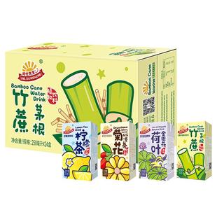 阳光先生甘蔗汁竹蔗茅根水饮料整箱盒装儿童老广火锅搭档过年年货