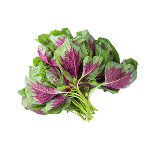 红苋菜种子野菜长寿菜圆叶汉菜种籽青菜春季四季盆栽阳台蔬菜种孑