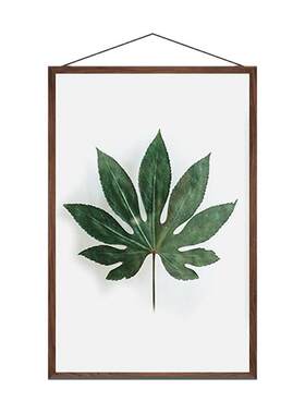 植物标本装饰画树叶摆件画框手工