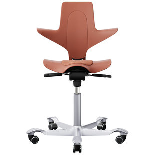 HAG Puls护腰电脑椅办公椅马鞍椅子人体工学椅转椅学习座椅骑马椅