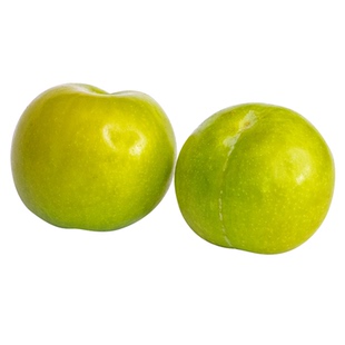 四川脱骨青脆李子苗水果树果苗晚熟脆红嫁接蜂糖李子树苗南方种植