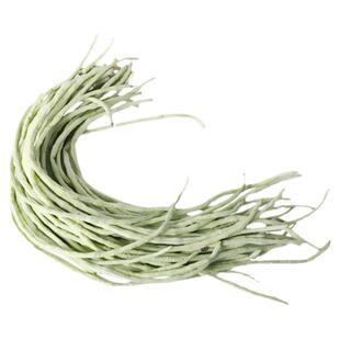 白豇豆种子特长架豆孑子苗种八月豆角种籽大全四季豆种高产芸豆