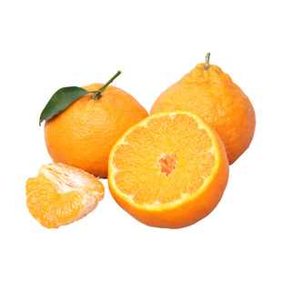 正宗四川春见耙耙柑10斤桔子新鲜水果当季整箱粑粑柑橘子产地直发