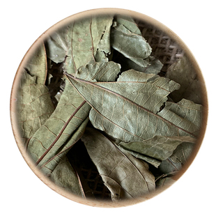 中药材 布渣叶 蓑衣子 破布叶 50g 可打粉 满包邮