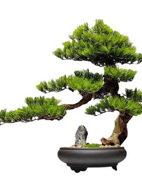 仿真迎客松茶室禅意崖柏植物盆景