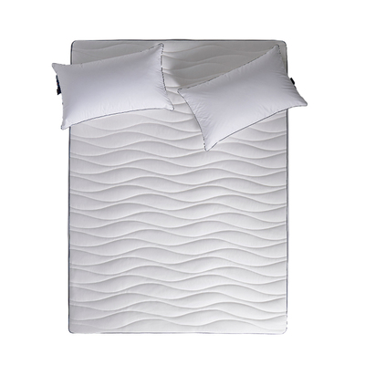 德国Irisette100%阻螨床笠