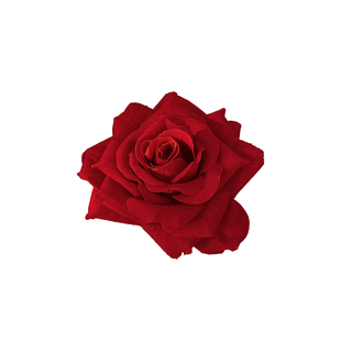 新年红色玫瑰花朵发夹女2025新款高端头饰盘发抓夹鲨鱼夹过年发卡