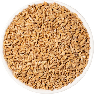 浮小麦中药材500g克止汗正宗浮水干瘪小麦茶旗舰店另售甘草红枣